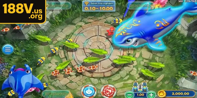 Hình ảnh tuyệt đẹp với gam màu rực rỡ mang lại cảm giác sống động