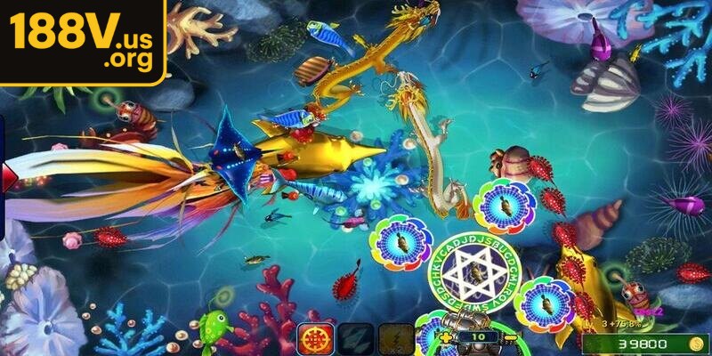 Hoàn thành nhiệm vụ bắt cá hàng ngày để kiếm thêm điểm thưởng