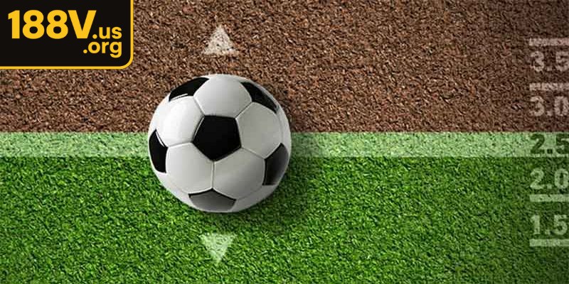 Nắm vững các quy tắc và cách đọc kèo đặc biệt rất quan trọng